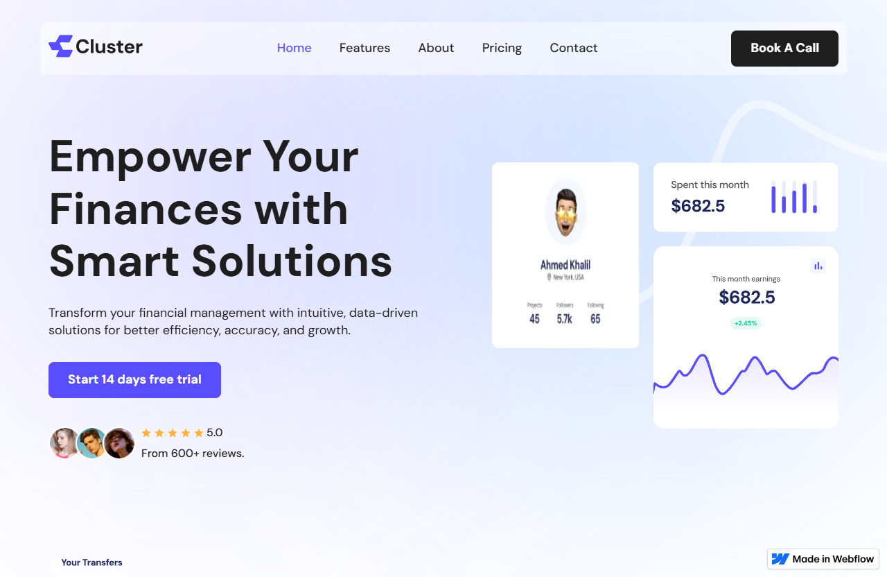 Business Finance Website screenshot